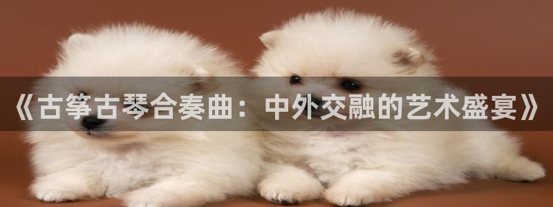 凯发唯一官方网站:《古筝古琴合奏曲:中外交融的艺术盛宴》