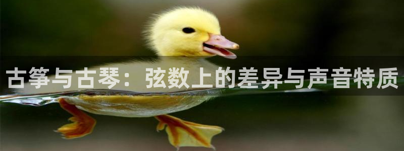 凯发娱乐k8下载:古筝与古琴:弦数上的差异与声音特质