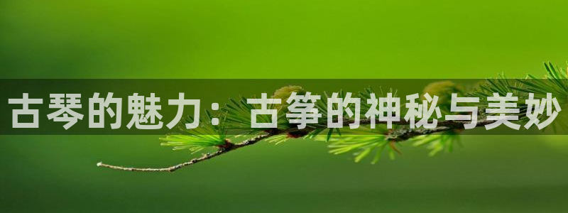 凯发k8娱乐官网网址中心:古琴的魅力:古筝的神秘与美妙