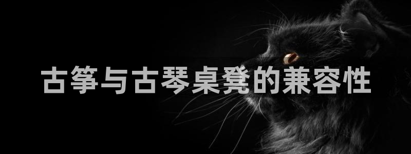 凯发k8娱乐要访问kf6819:古筝与古琴桌凳的兼容性