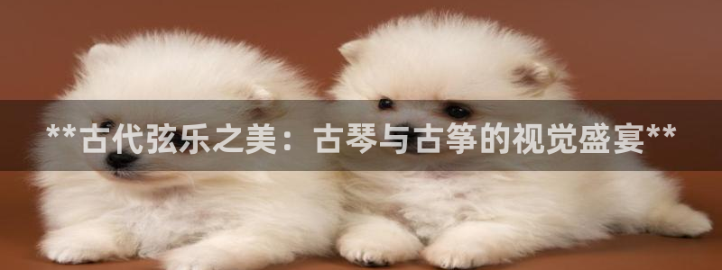 凯发国际官网下载:**古代弦乐之美:古琴与古筝的视觉盛宴**