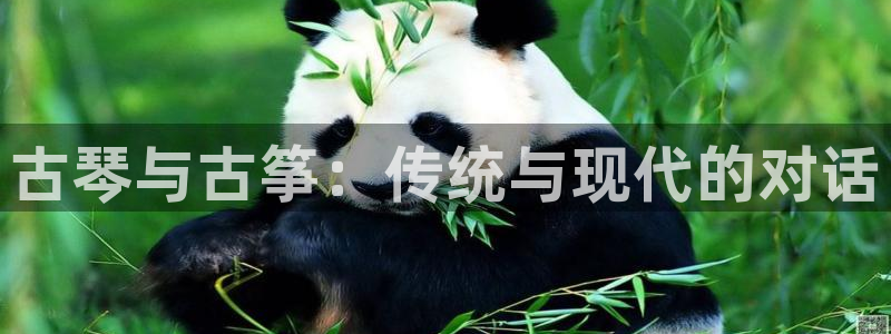 凯发线上客户端免费下载:古琴与古筝:传统与现代的对话