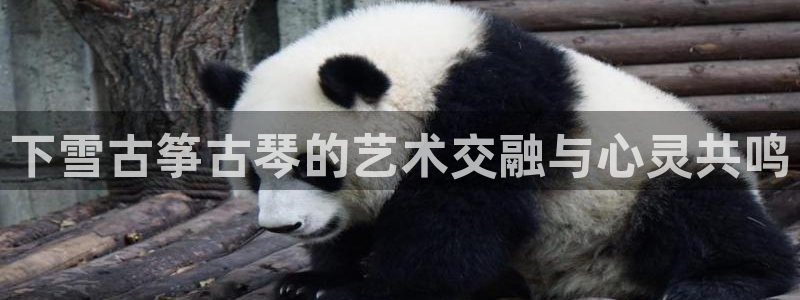 凯发k8国际app:下雪古筝古琴的艺术交融与心灵共鸣