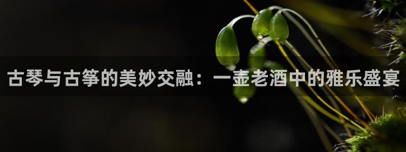 凯发官方网站下载:古琴与古筝的美妙交融:一壶老酒中的雅乐盛宴
