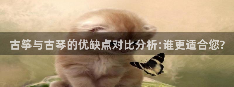 凯发手机官网:古筝与古琴的优缺点对比分析:谁更适合您?